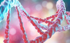 Diferencias entre el ADN y el ARN