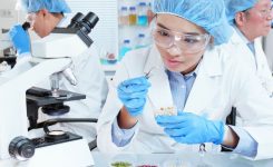 Inteligencia Artificial en Seguridad Alimentaria
